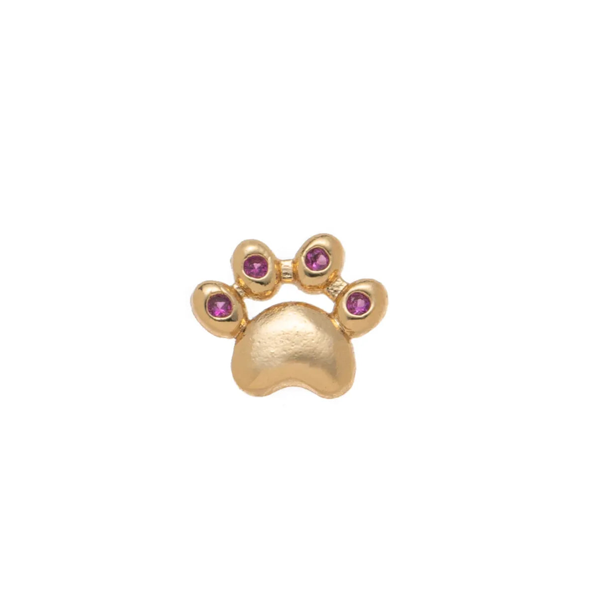 Pet Paw Floating Charm